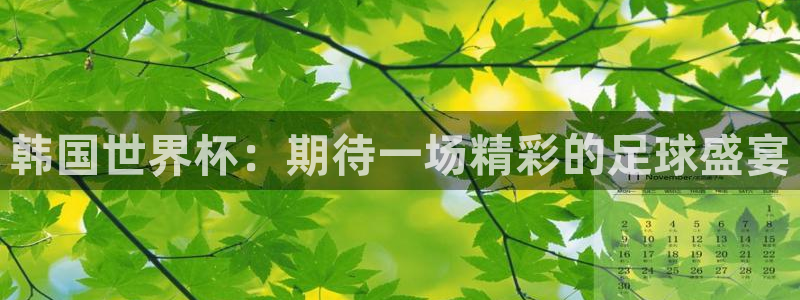 世界杯女足直播：韩国世界杯：期待一场精彩的足球盛宴