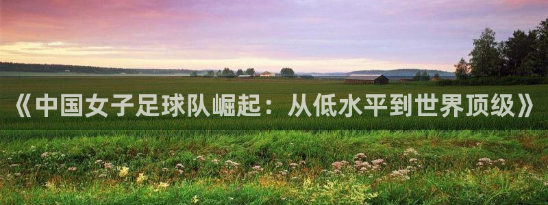 今年的世界杯：《中国女子足球队崛起：从低水平到世界顶级》