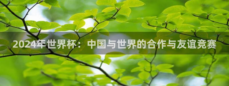 世界杯对阵图2026：2024年世界杯：中国与世界的合作与友谊竞赛