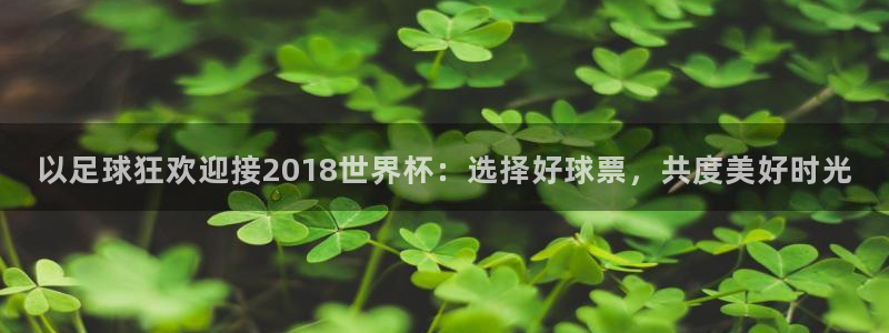 世界杯亚洲区预选赛积分榜：以足球狂欢迎接2018世界杯：选择好球票，共度美好时光