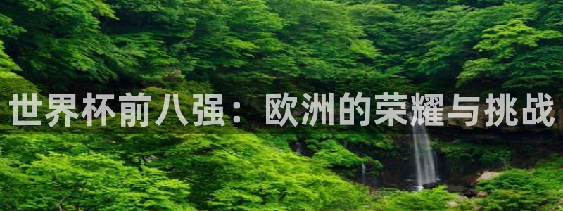 世界杯亚洲区预选赛积分榜：世界杯前八强：欧洲的荣耀与挑战