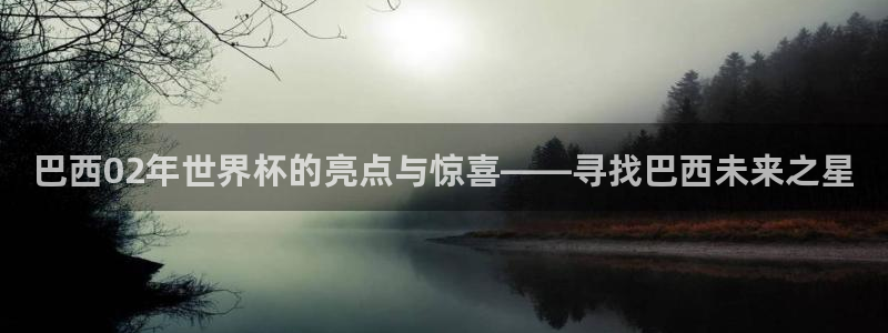 世界杯赛程2026：巴西02年世界杯的亮点与惊喜——寻找巴西未来之星