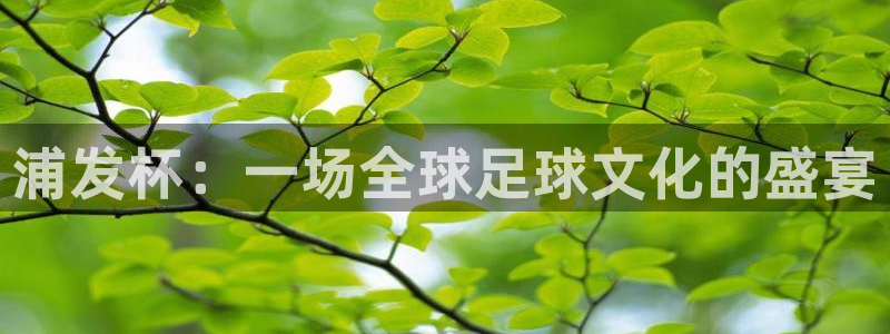 2026年世界杯：浦发杯：一场全球足球文化的盛宴