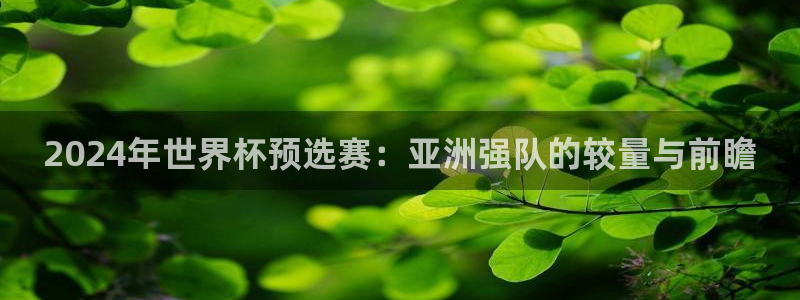 2026足球世界杯：2024年世界杯预选赛：亚洲强队的较量与前瞻