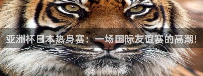 世界杯比赛：亚洲杯日本热身赛：一场国际友谊赛的高潮!