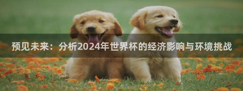 26世界杯：预见未来：分析2024年世界杯的经济影响与环境挑战