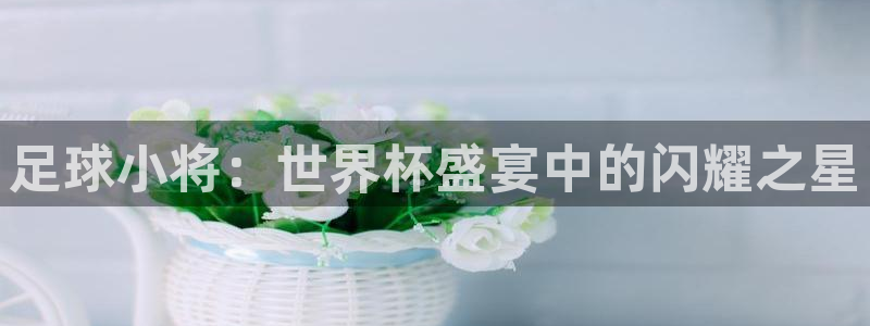 世界杯亚洲区预选赛赛程：足球小将：世界杯盛宴中的闪耀之星