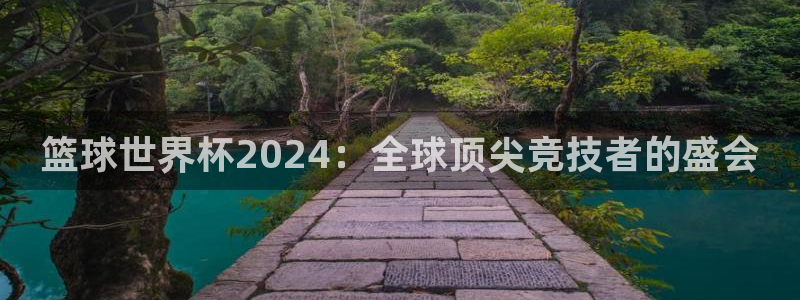 世界杯足球：篮球世界杯2024：全球顶尖竞技者的盛会