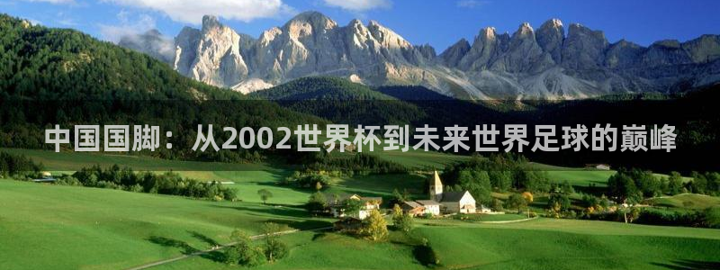 世界杯转播表：中国国脚：从2002世界杯到未来世界足球的巅峰