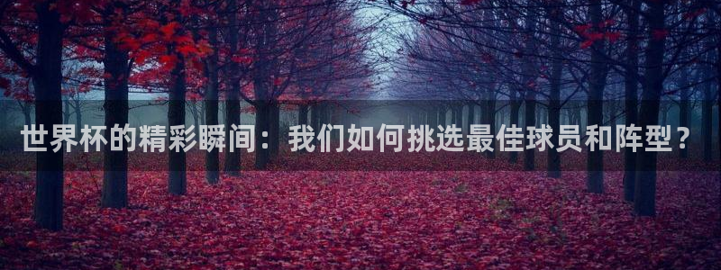 足球世界杯2026年赛程时间表：世界杯的精彩瞬间：我们如何挑选最佳球员和阵型？